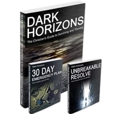 The Final Collapse! An AI End-Time Prophecy