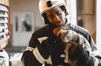 How Can Smart Pet Devices Help With Emergency Situations?