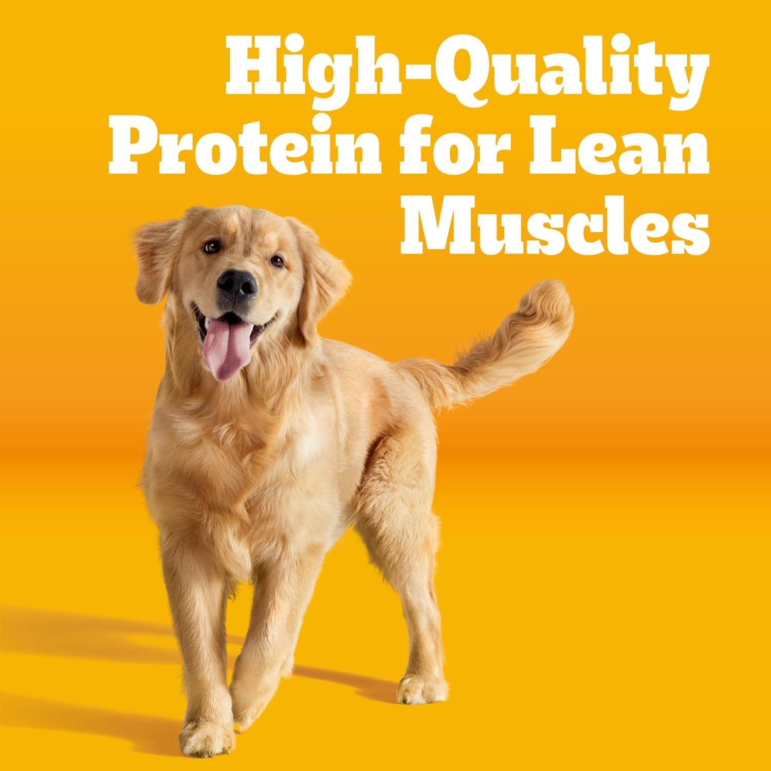 Pedigree Adult Dry Dog Food, Complete Nutrition, Grilled Steak & Vegetable Flavor, 18 lb. Bag - Image 2