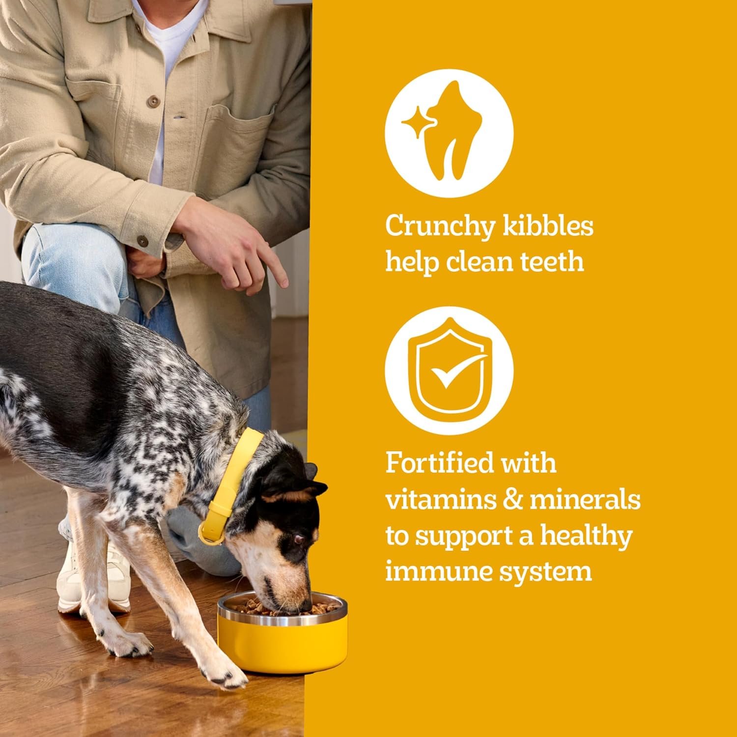 Pedigree Adult Dry Dog Food, Complete Nutrition, Grilled Steak & Vegetable Flavor, 18 lb. Bag - Image 6